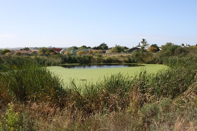 Uitwijkdam kry aandag