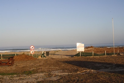 Lappiesbaai voorduin word gerehabiliteer