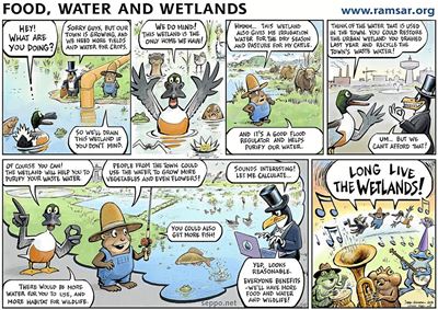 Wetlands and agriculture