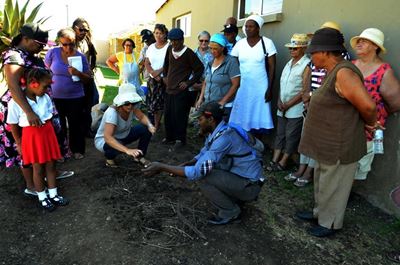 Kos en Fynbos enthusiasm spreads