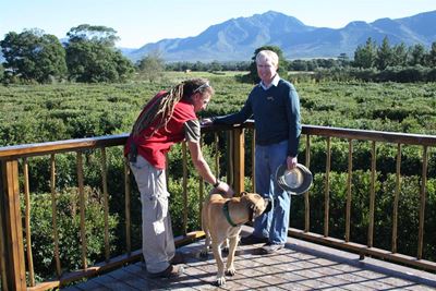 Redberry Farm impresses with maze