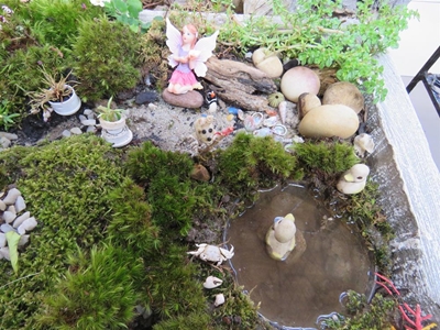 Garden Route’s first mini garden display delights