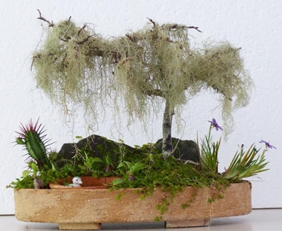 Miniature gardens at Knysna Mall