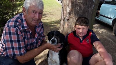 Dog survives vicious attack