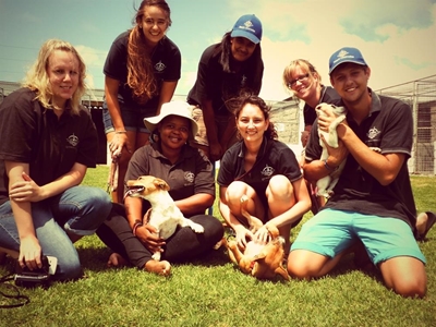 Students reach out at SPCA