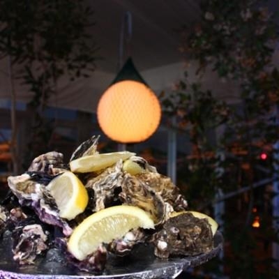 Oysters galore!