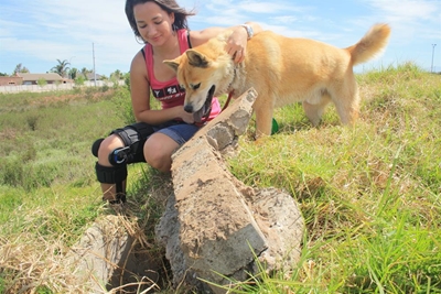 Update: Dog rescued from open pipe