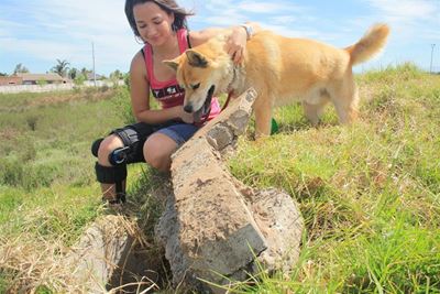 Update: Dog rescued from open pipe