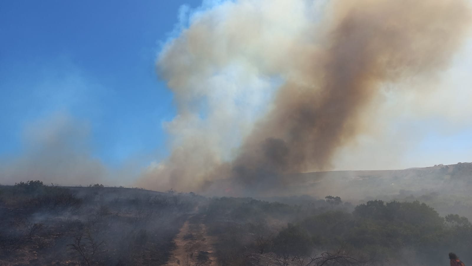 Fire in Sonskynvallei | Mossel Bay Advertiser