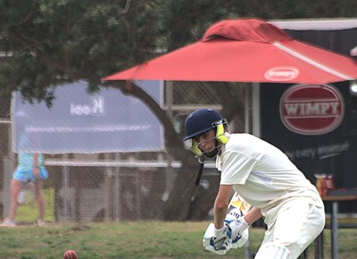 Fun at cricket bash