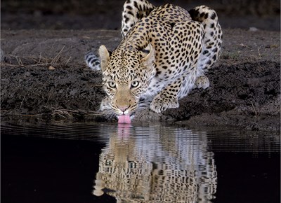 Eden Photographic Society kondig September-wenners aan