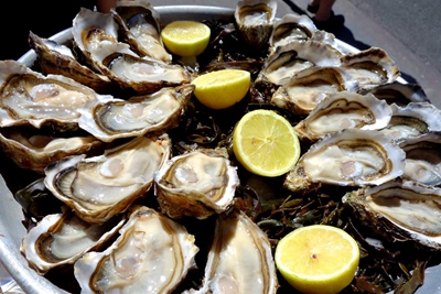 Oysters, oysters everywhere