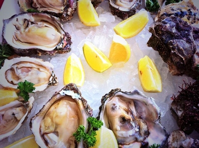 Knysna Oyster Festival starts tomorrow