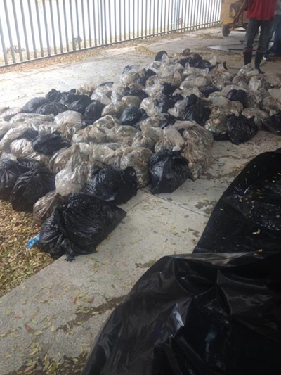 Mandrax and abalone seized