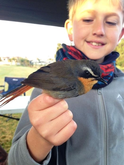 Update: Young Birders Club for George
