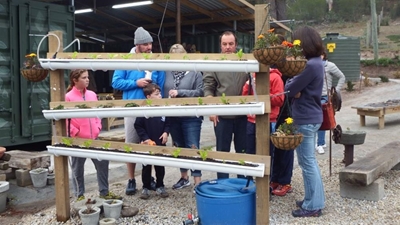 Montessori celebrates 20 years
