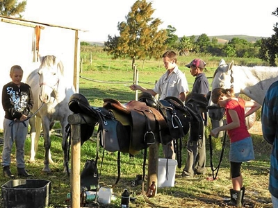 Horseman ship and Percheron's at pony camp