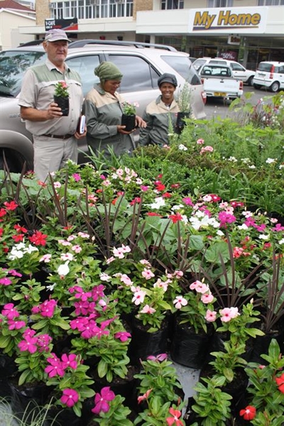 Die Plantjie Kwekery is terug in die dorp
