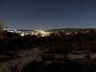 Exploring nature by moonlight