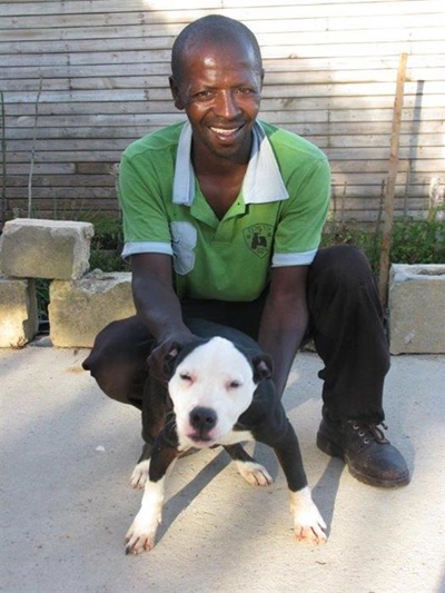 Facebook finds 'unstolen' dog