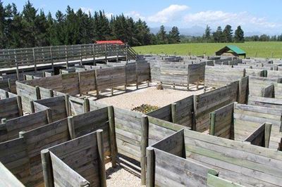 3D maze in Plettenberg Bay