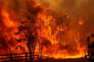 291 265 hectares burned in the Fynbos domain