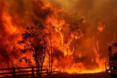 291 265 hectares burned in the Fynbos domain