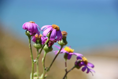 Mossel Bay keeps up its reputation as perfect town for mature lifestyle