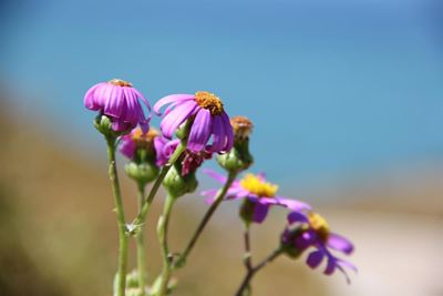 Mossel Bay keeps up its reputation as perfect town for mature lifestyle