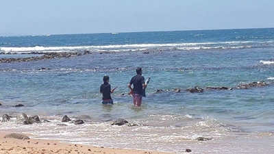 Onwettige harpoen-gewere gekonfiskeer