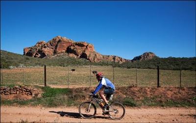 Fietsry en draf vir hele gesin die naweek