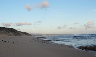 Rheebok 1 of 5 favourite spots