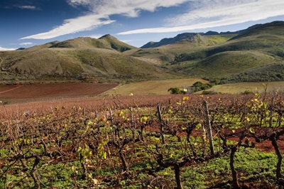 N2 roadworks: Take the scenic route instead