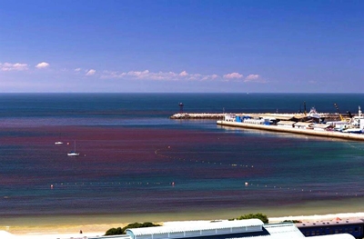 Rooigety in Mosselbaai
