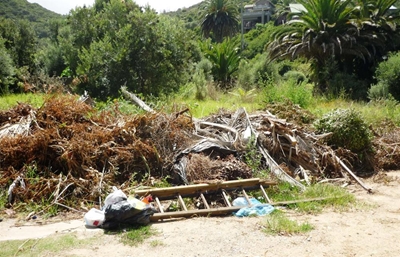 Illegal dumping in Wilderness causes concern