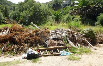 Illegal dumping in Wilderness causes concern