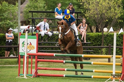 Young rider excels at Prix Caprille