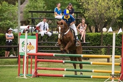Young rider excels at Prix Caprille
