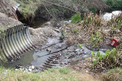 Sewage spill near Rooi Rivier Rif