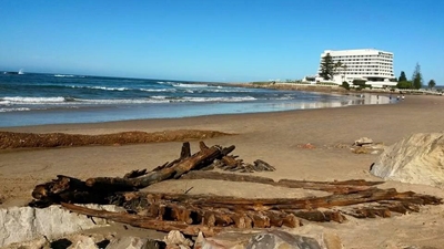 Plett shipwrecks explored