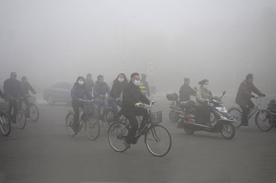Green transport systems gaining momentum