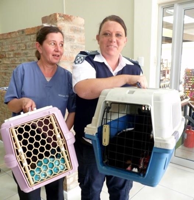 Local vets help SPCA by sterilising animals