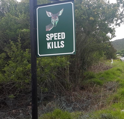 Speed kills in Brenton
