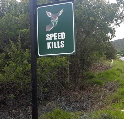 Speed kills in Brenton