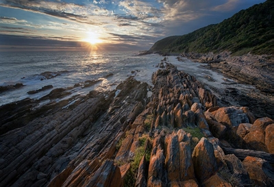 Knysna photographers awarded