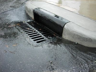 Gebruik die natuur om stormwater te suiwer