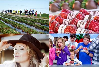 Strawberry Festival full of activity and fun