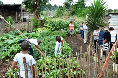 Medical students visit food gardens
