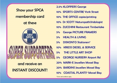 Support your local SPCA