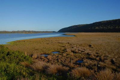 Swartvlei Estuary's smell nothing new